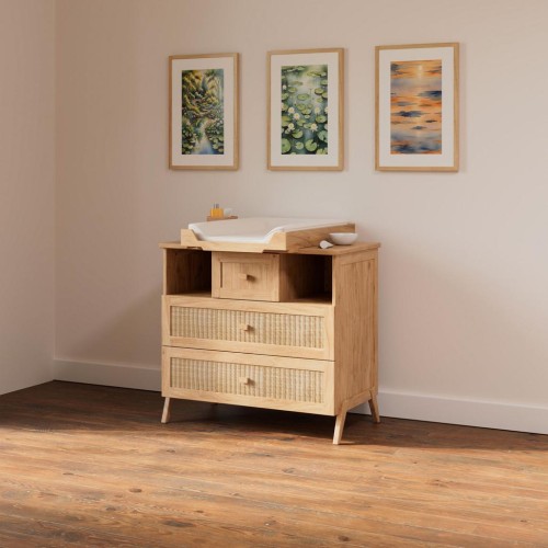 3cb77ba10e7b5919392a57647531943a