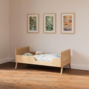 528110660f8cdd0664f9117f4a421e20