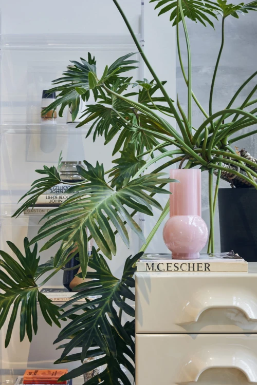 73a47bf5fbfa5655cad9d106cfa6b88c