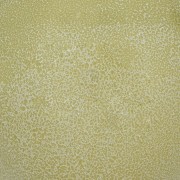 cf2fa33e893414ed166c59c8d4d2eba2