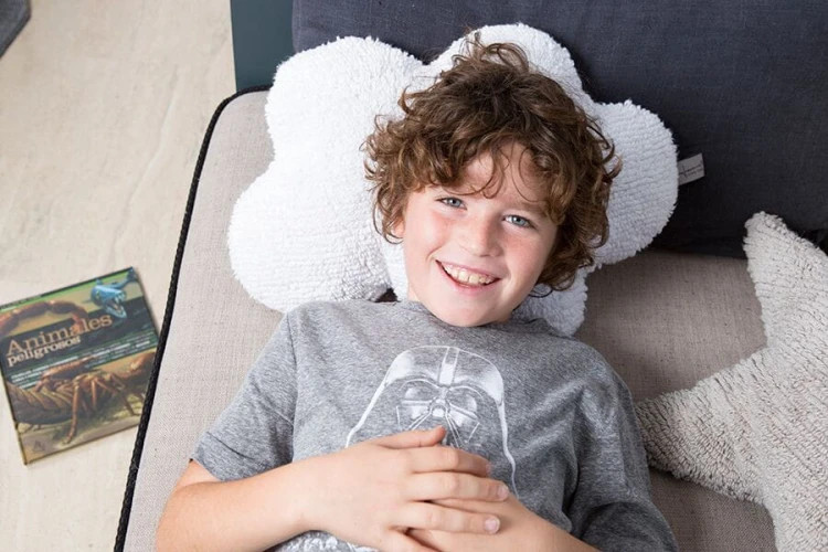 91ce65e5c44396a374b9f03a1688934c