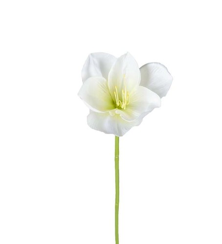 Mr Plant - biały dekoracyjny kwiat amarylis 40 cm