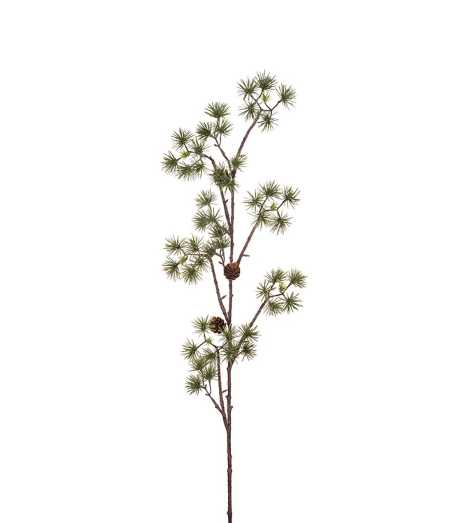 Mr Plant - świerkowa dekoracja z szyszkami