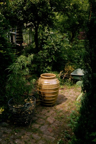 HKLIVING - duży ceramiczny wazon podłogowy na drzewo oliwne