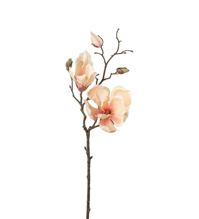 Mr Plant - gałązka magnolii kremowo-brzoskwiniowy 45 cm