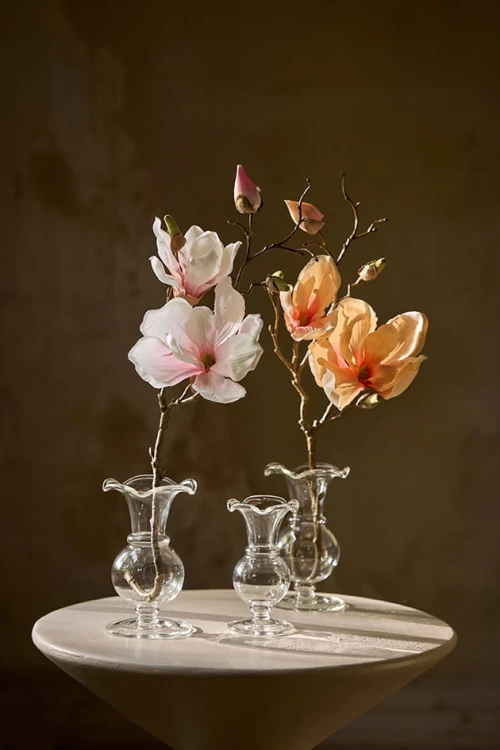 Mr Plant - gałązka magnolii kremowo-brzoskwiniowy 45 cm