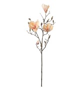 Mr Plant - gałązka magnolii kremowo-brzoskwiniowy 88 cm