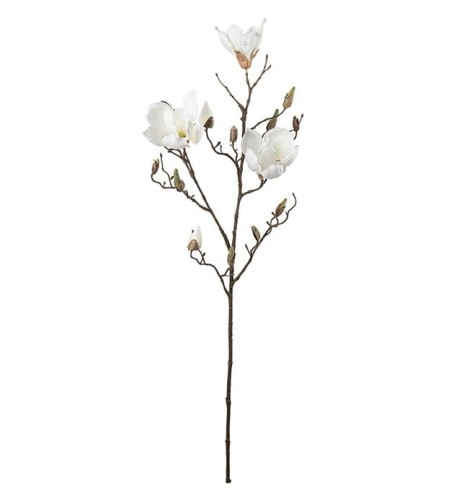 Mr Plant - gałązka magnolii białej 88 cm