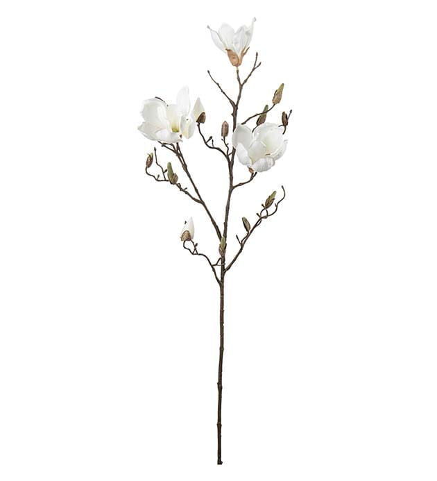 Mr Plant - gałązka magnolii białej 88 cm