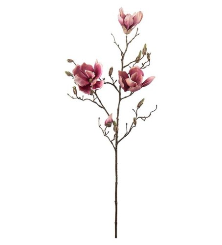 Mr Plant - gałązka magnolii różowej 88 cm (