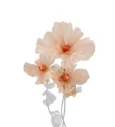 Mr Plant -trzy duże kwiaty dekoracyjne w brzoskwiniowym kolorze