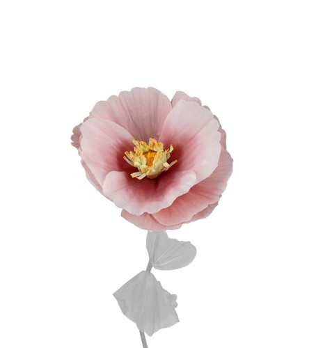 Mr Plant -duży kwiat dekoracyjny w kolorze pudrowego różu 40 cm