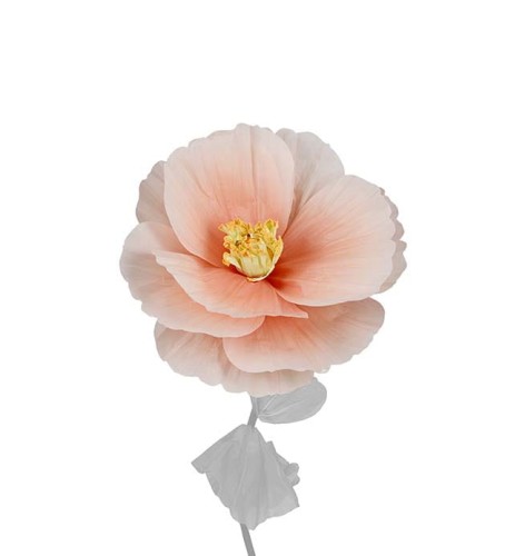 Mr Plant -duży kwiat dekoracyjny w kolorze brzoskwiniowym 40 cm