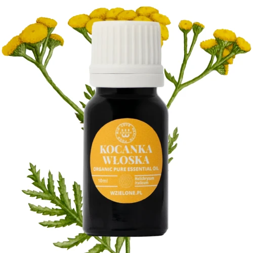 Olejek eteryczny KOCANKA WŁOSKA organiczny 10ml