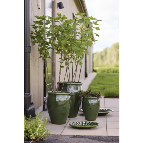 Lauvring - zestaw zielonych donic ogrodowych szkliwionych Blanka