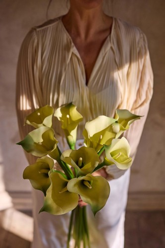 Mr Plant - kalia biała