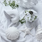 Lene Bjerre-muszla Shellille 9 cm