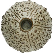 Lene Bjerre-muszla beżowa świecznik Shellille 7 cm