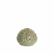 Lene Bjerre-muszla beżowa świecznik Shellille 7 cm