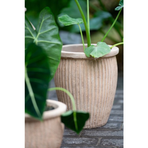 Lauvring - zestaw donic ogrodowych z terakoty Lima