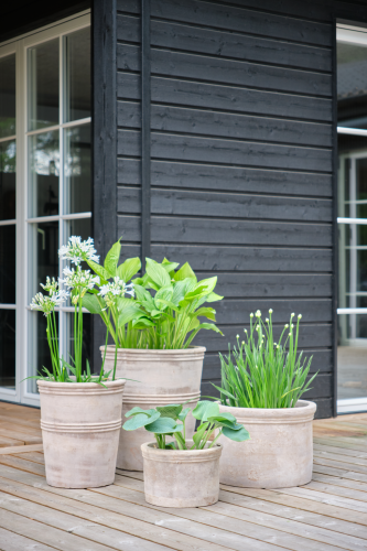 Lauvring - zestaw donic ogrodowych Yuka