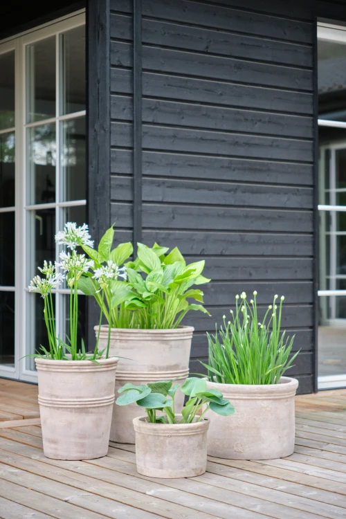 Lauvring - zestaw donic ogrodowych Yuka