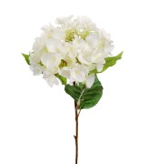 Mr Plant - sztuczna hortensja jasna 48 cm