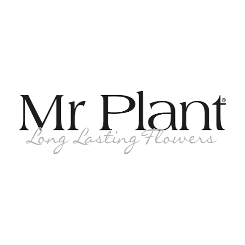 logo mr Plant
